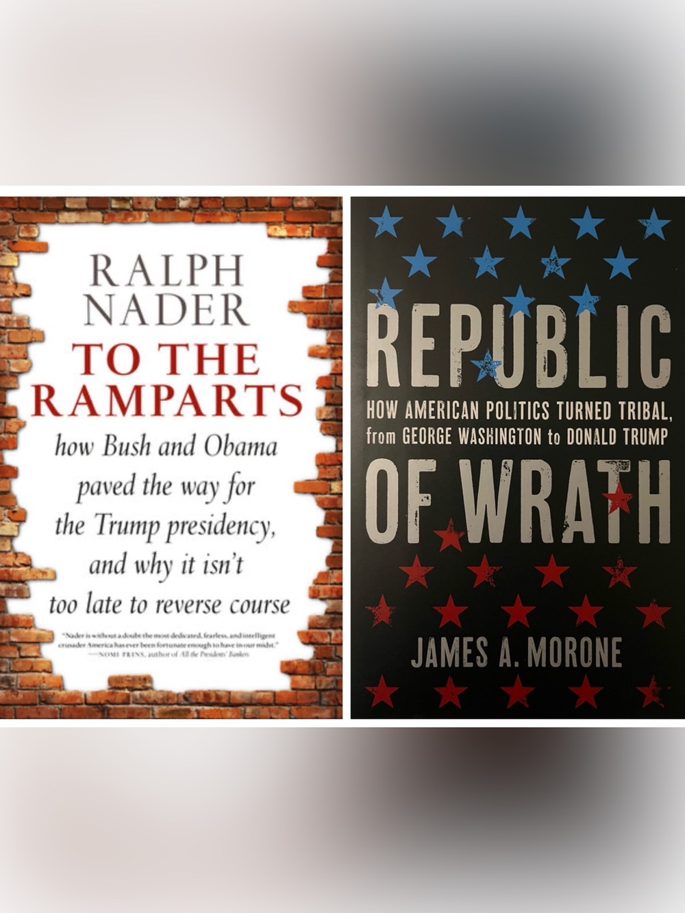 Political Bookset - Picture 14 of 14